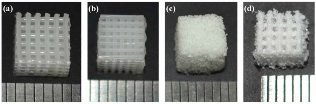 (a)3D-plotting pore size=500μm, (b)3D-plotting pore size=400μm, (c)SLUP scaffold, (c)Dual-pore SLUP scaffold