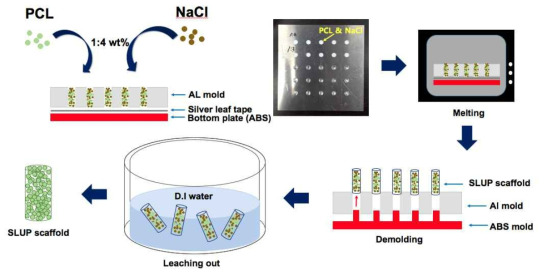 SULP scaffold의 제작과정 모식도