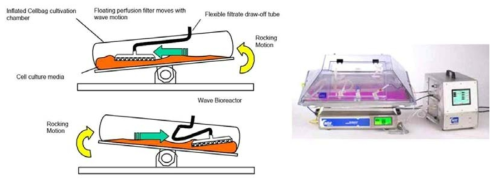 Wave bioreactor의 작동원리(좌)와 시스템 사진(우)