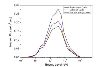 UCFR-100의 중성자 에너지 스펙트럼