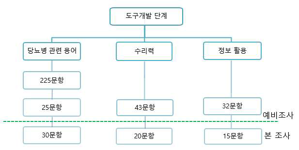 당뇨병 환자의 건강정보이해능력의 구성과 문항 개발 단계