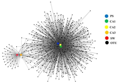 Network analysis of shared-OTUs between samples obtained in the study.