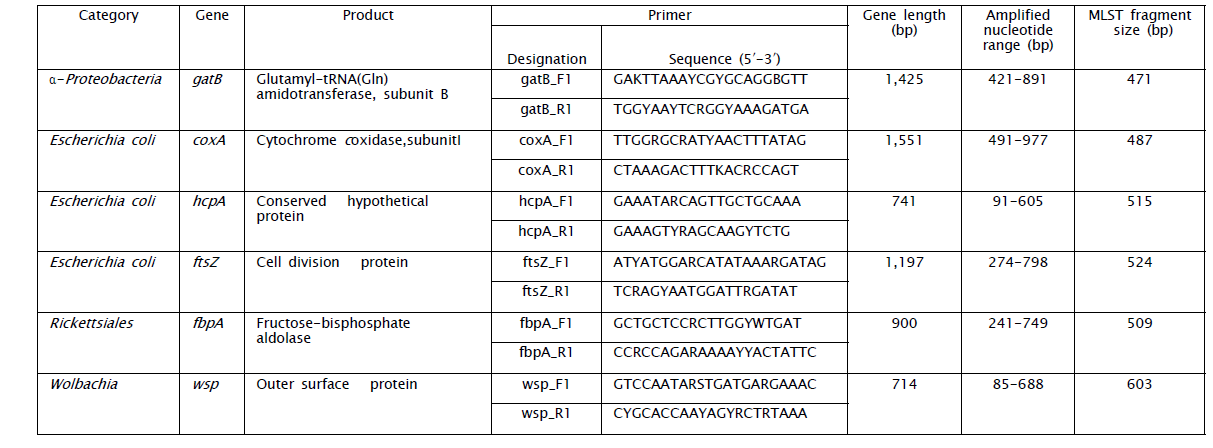 MLST 대상 유전자와 PCR 프라이머 염기서열