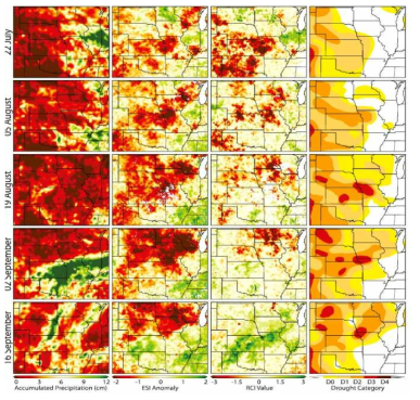 누적된 강수량, ESI 아노말리, RCI, USDM