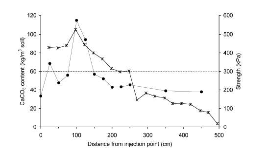 Calcium carbonate (＊) and strength (●) profiles along the column length