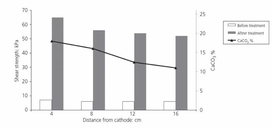 Percentage of CaCO3 deposits across the specimen related to shear strength