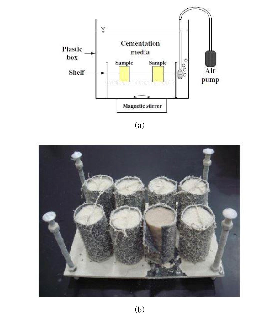 (a) Schematic drawings of MICP batch reactor, (b) Photograph of samples after the reactions in the full contact flexible mold