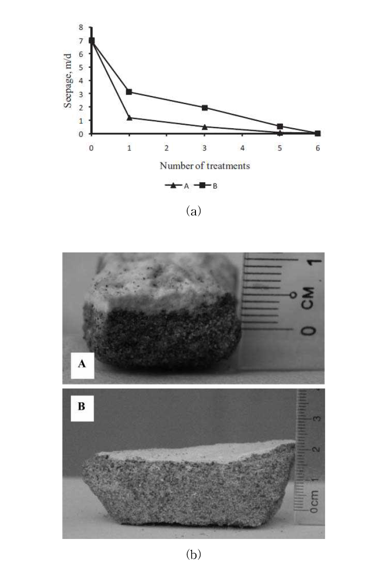 (a) Effect of MICP treatment numbers on the seepage through the sand, (b) The sand samples after MICP