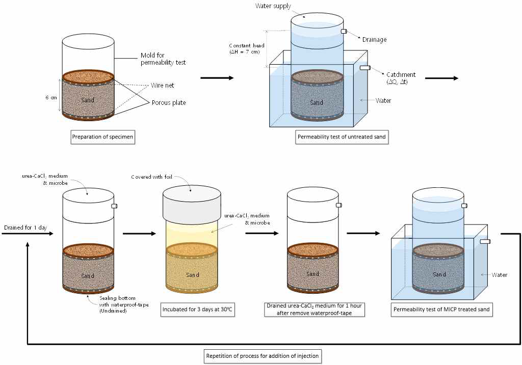 Procedure of MICP treatment