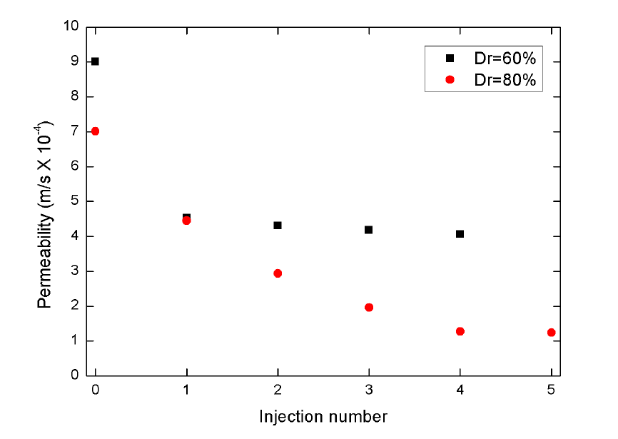 Permeability of MICP treated with S. saprophyticus