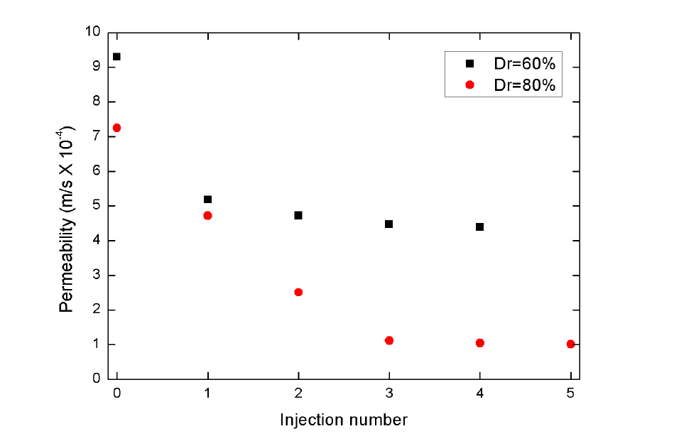 Permeability of MICP treated with B. lentus