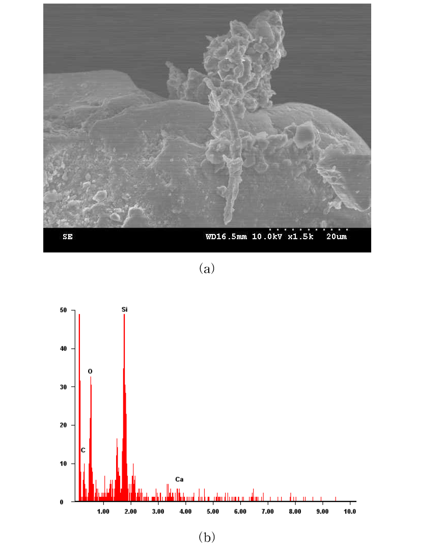 Sand treated with S. pasteurii (Dr=60%): (a) SEM, (b) EDS