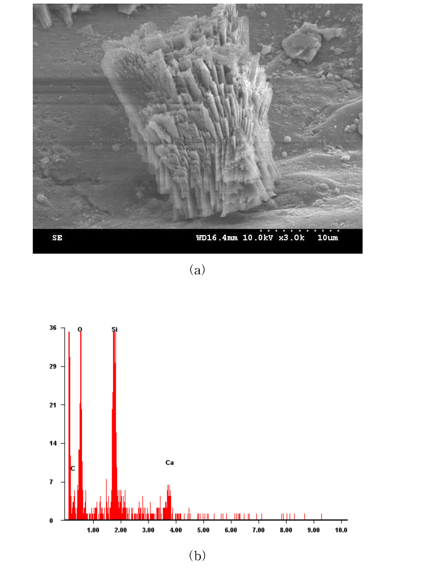 Sand treated with S. sarprophyticus (Dr=60%): (a) SEM, (b) EDS