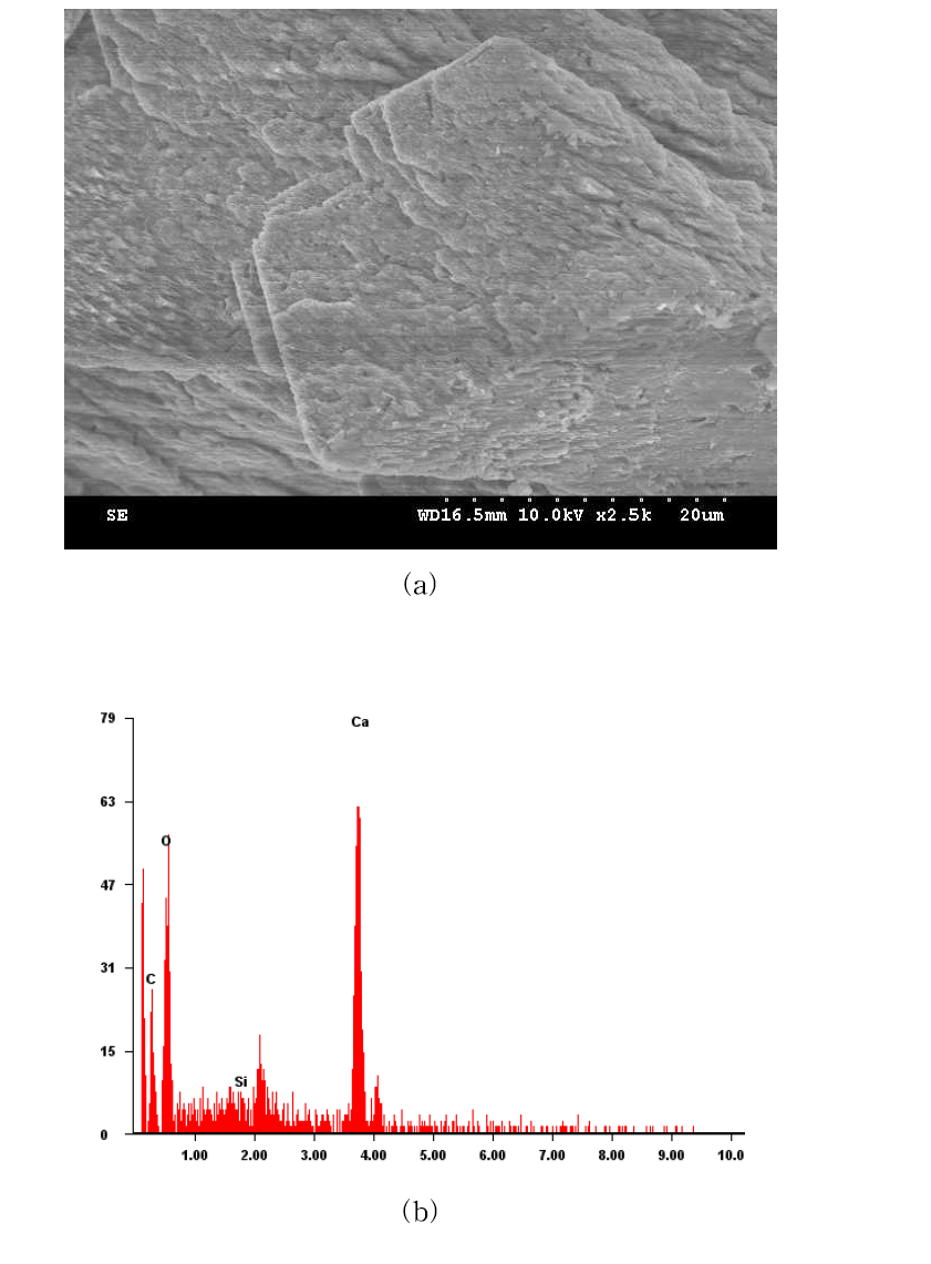 Sand treated with S. globispora (Dr=60%): (a) SEM, (b) EDS