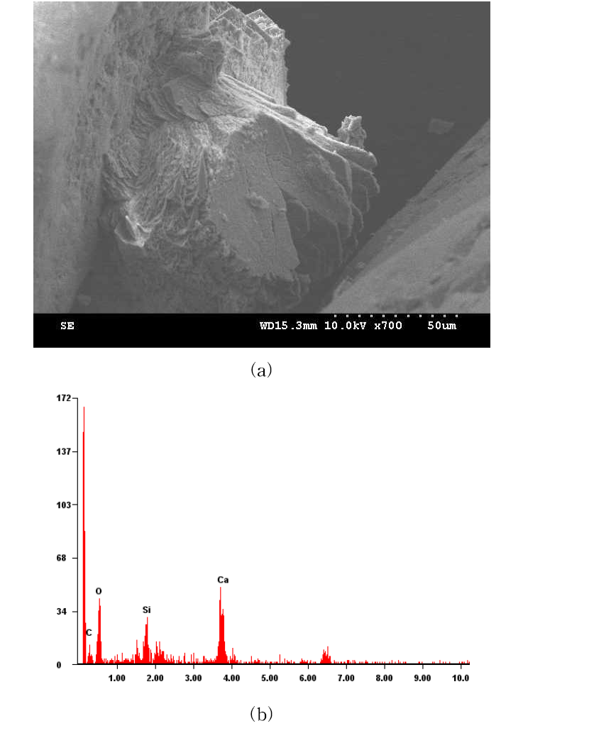 Sand treated with S. pasteurii (Dr=80%): (a) SEM, (b) EDS