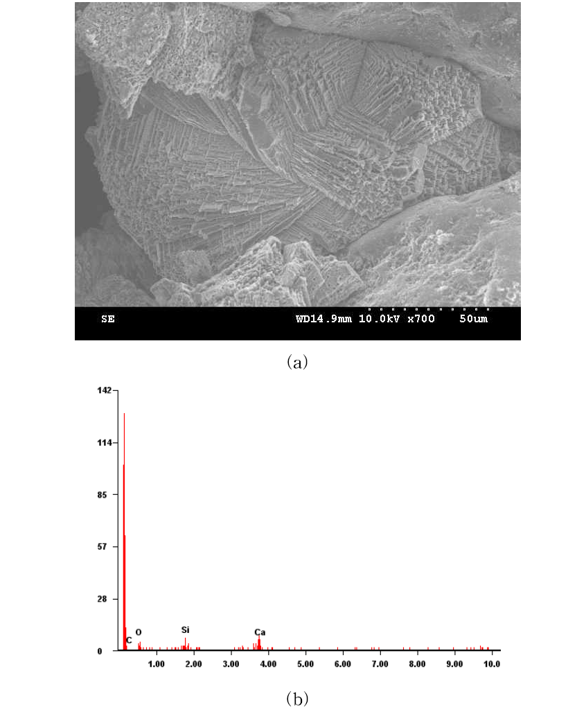 Sand treated with S. sarprophyticus (Dr=60%): (a) SEM, (b) EDS