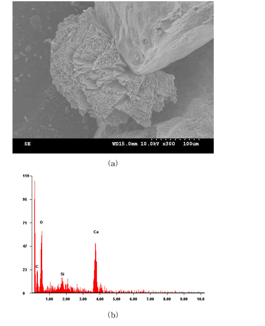 Sand treated with Sporosarcina sp. (Dr=80%): (a) SEM, (b) EDS