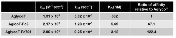 SPR 분석에 의한 Fc 변이체들의 반응 속도 상수와 평형 해리 상수