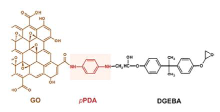 Proposed chemical linkage of GO with epoxy through the bi-functionality of pPDA