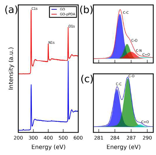 XPS spectra of GO and GO-pPDA (a) and C1s spectra of GO-pPDA (b) and GO (c)