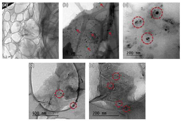 TEM images of (a) GO, (b) and (c) GO-pPDA dispersed in water, (d) and (e) GO-pPDA dispersed in NMP