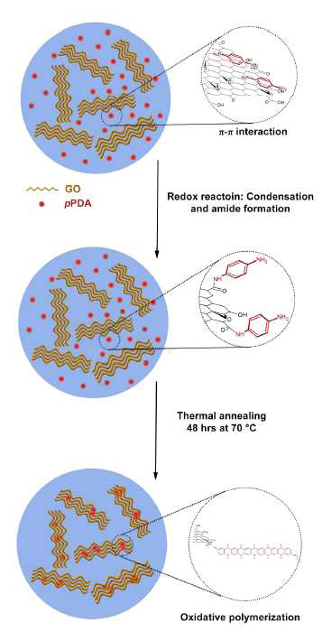 Schematic illustration of the proposed reaction mechanism between GO and pPDA