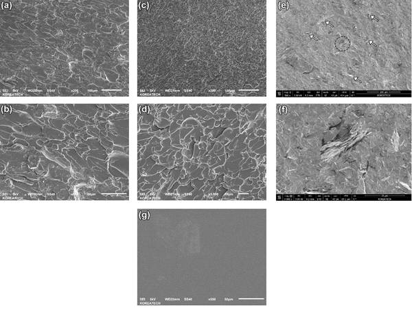 SEM of RT tensile tests fractured samples at different GO-PDA loadings: 0.05% (a & b), 0.5% (c & d), 2% (e & f) and neat epoxy (g)