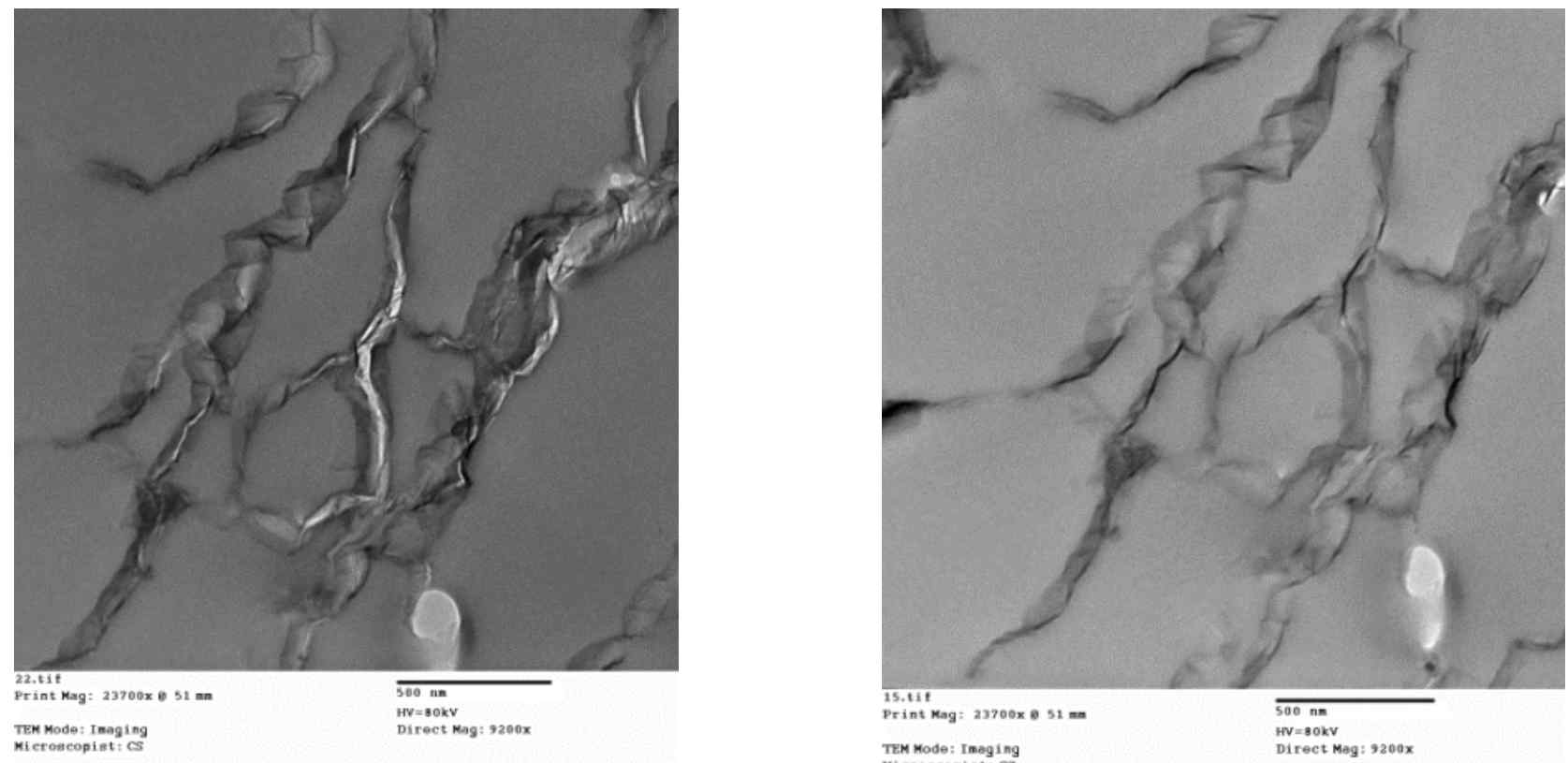 TEM image of graphene in epoxy showing the percolated wrinkled structure measured at relatively low magnification