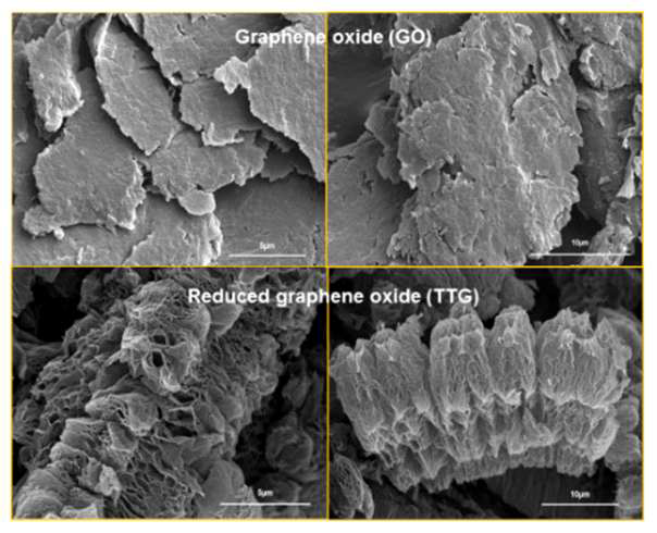 SEM images of GO and TTG