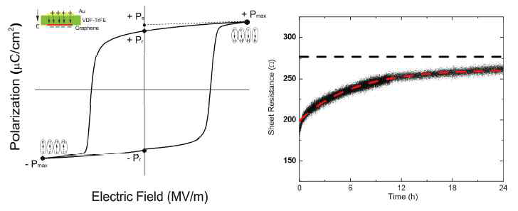 대면적 그래핀-P(VDF-TrFE) 투명전극의 극 성 측정 및 면저항 변화 관찰.