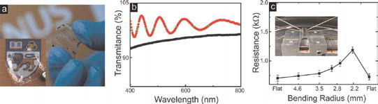 그래핀-강유전체 폴리머 투명전극의 광학 이미지, 투과 특성 평가 및 변형에 따른 저항 특성 평가
