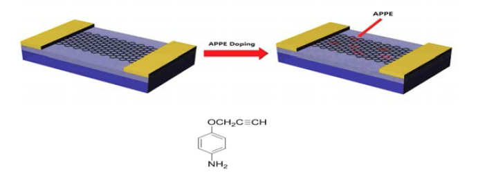 APPE(Aminophenyl Propargyl Ether, 아미노페닐 프로파길 이터)를 이용한 도핑 방법 및 모식도