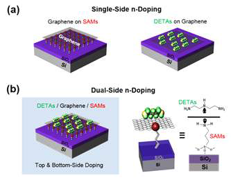 (a) 그래핀의 위, 아래 단면 도핑 모식도 (b) 양방향 도핑 모식도 및 화학구조식