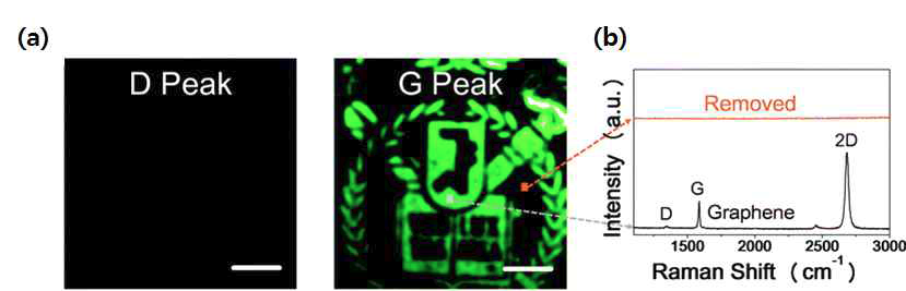 전사된 그래핀의 라만 스펙트럼