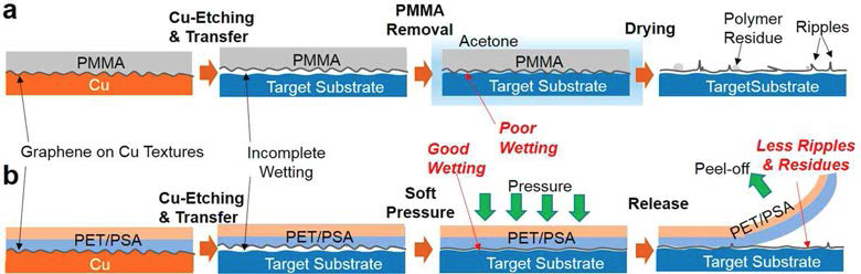 PMMA 와 PSAF 기반 전사과정 모식도.