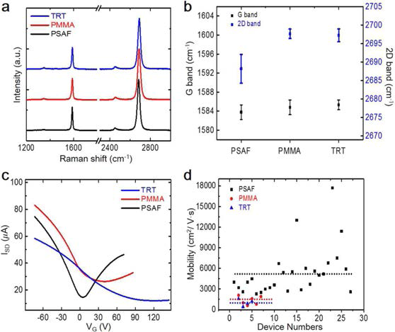TRT- and PMMA-전사 그래핀과 비교한 PSAF-전사 그래핀 특성