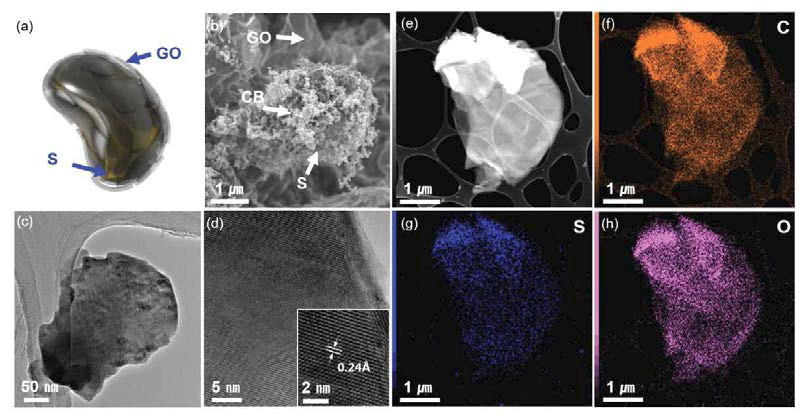 (a) 구조 모식도, (b) 황/미세 탄소 분말을 코팅한 그래핀 산화물 의 주사 전자 현미경 사진, (c) 투과 전자 현미경 사진, (d) 고해상도 투과 전 자 현미경 사진, (e) 주사 투과 현미경 사진, (f-h) 각각 탄소, 황, 산소의 에 너지분산형 분광분석(Energy-Dispersive X-ray spectroscopy) 사진