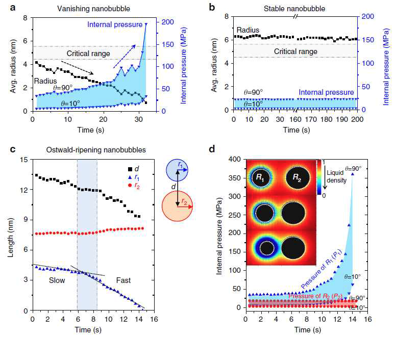 Growth Dynamics and Gas Transport Mechanism of Nanobubbles in Graphene Liquid Cells