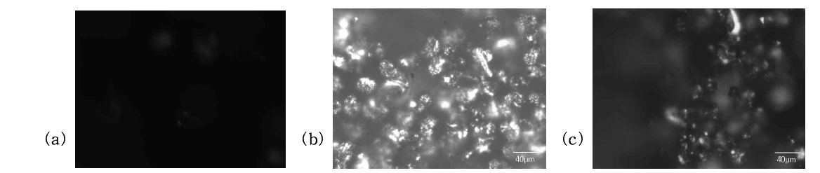 PLM photograph of the preform (a) before deposition. (b) after 60 hr-deposition. Deposition conditions were 900℃ and 10% of propane+ethanol. (c) after 60 hr-deposition. Deposition conditions were 900℃ and 10% propane