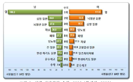 성별 사망원인 순위