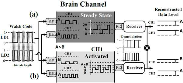 NIRS에서 CDMA Modulation 적용 형태