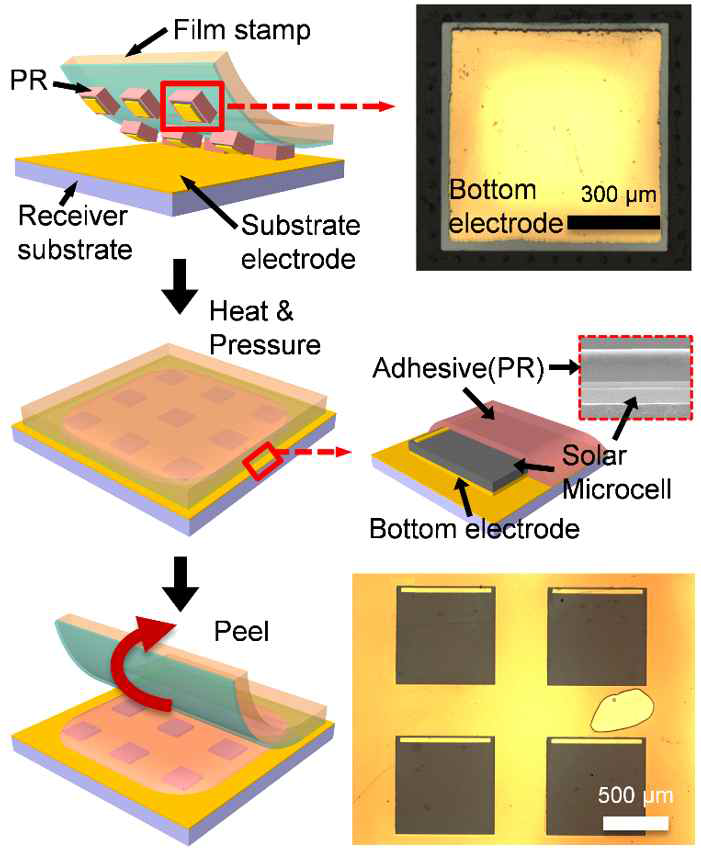 무접착표면으로의 태양전지 전사 과정