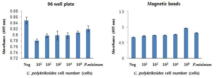 C. polykrikoides를 invertase-signal probe로 검출한 흡광도. a, Streptavidin coated plate 이용. b, Streptavidin coated magnetic beads를 이용한 차이를 그래프로 나타 냄.