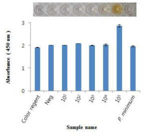 C. polykikoides cell 수별 glucose assay 발색반응 및 absorbance