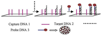 Silica nanoparticle 이용의 원리