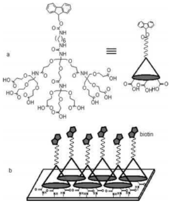 덴드론 처리 기법을 이용한 생분자의 검출