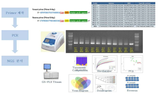 NGS (Next Generation Sequencing) 기반 유해적조 검출 기법 연구