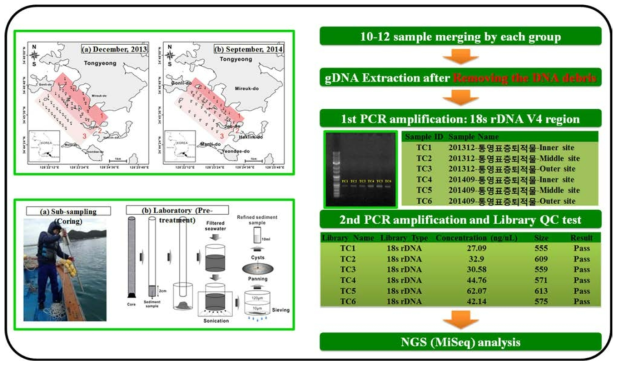 유해조류 휴면포자 채집 정점, 채집 방법 및 NGS분석 흐름도