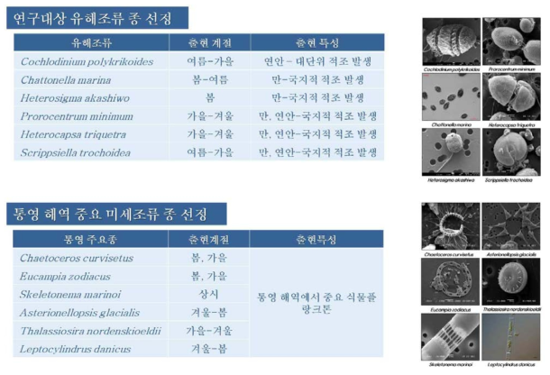 중요 유해조류 및 무해조류 종 및 출현 특성