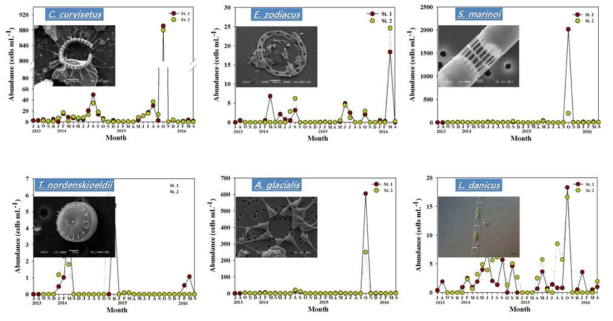 통영해역에서 중요 무해조류 6종의 출현양상